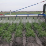 Air-Boom-Nozzle-Spray-Front-View-Peppers